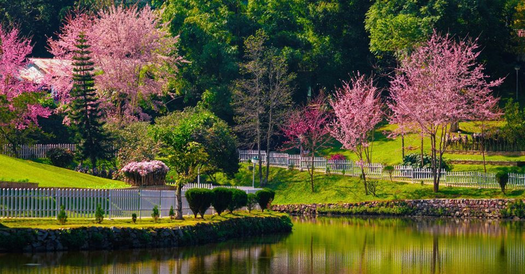 WARD'S LAKE: SHILLONG'S HORSESHOE OF TRANQUILITY